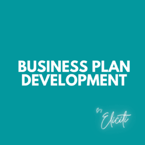 Business Plan Development