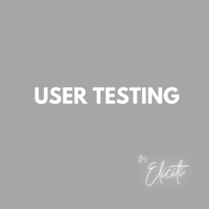 User testing