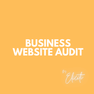 Business Website Audit